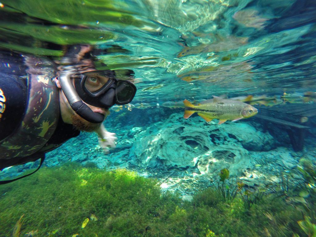 Aquário Natural - Baía Bonita - Bonito, MS