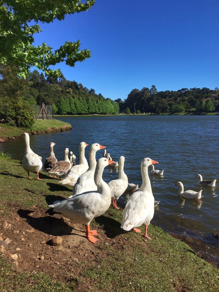 Lago São Bernardo