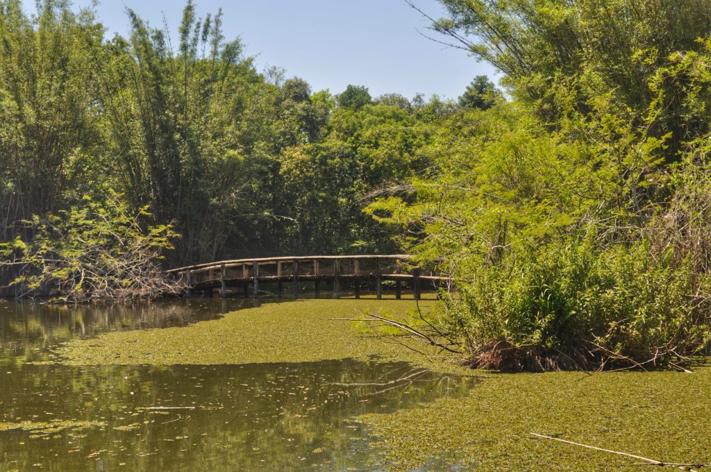 Jardim Botânico - Porto Alegre