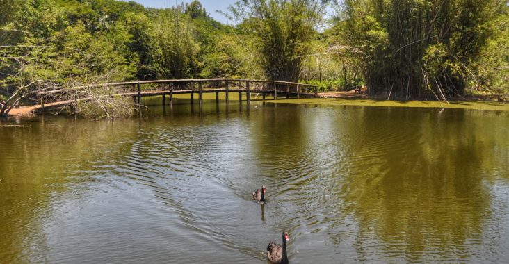 Jardim Botânico - Porto Alegre