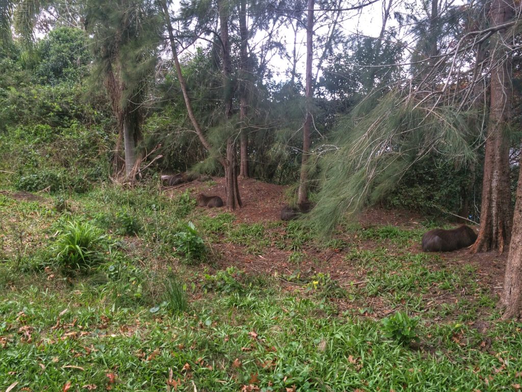 Parque Nacional de Santa Teresa - Uruguai