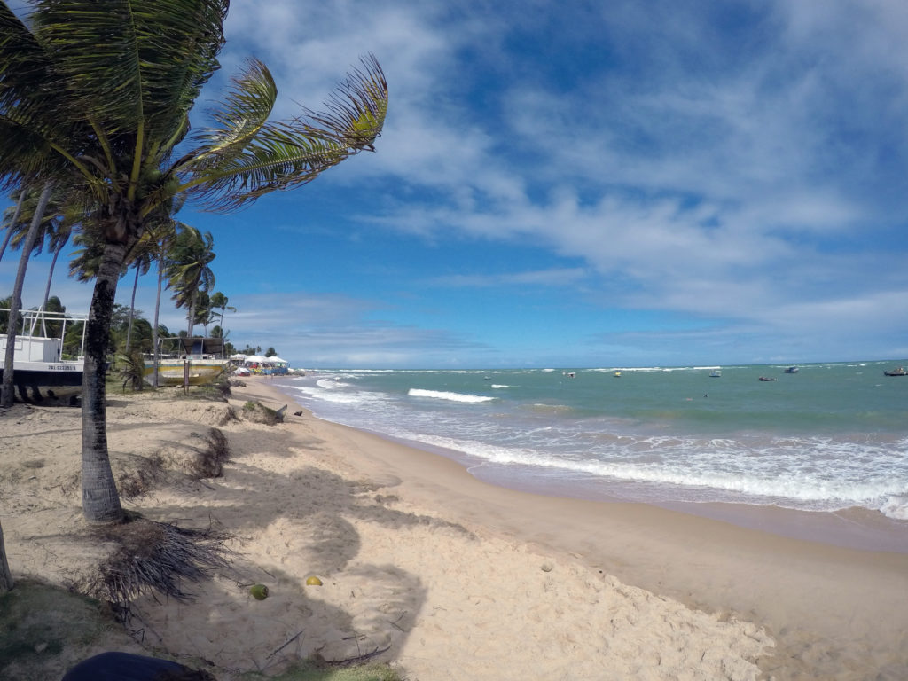 Praia do Forte - Bahia