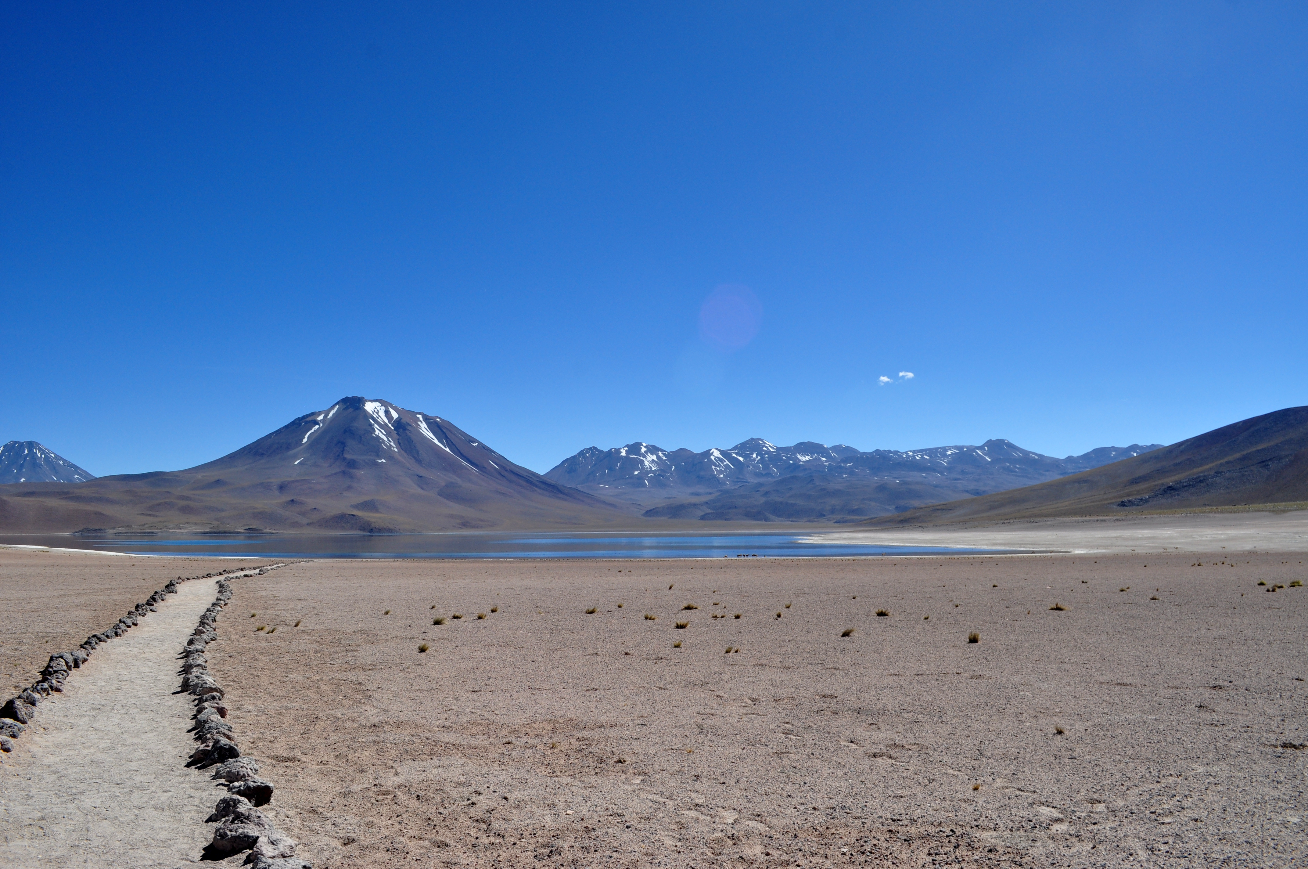 Lagunas Altiplânicas - Atacama