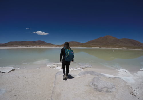 Piedras Rojas - Atacama