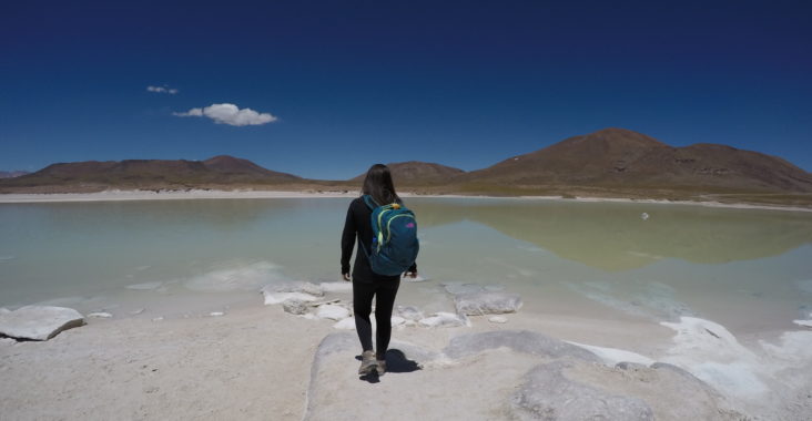 Piedras Rojas - Atacama