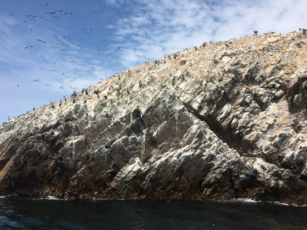 Paracas - Ballestas - Peru