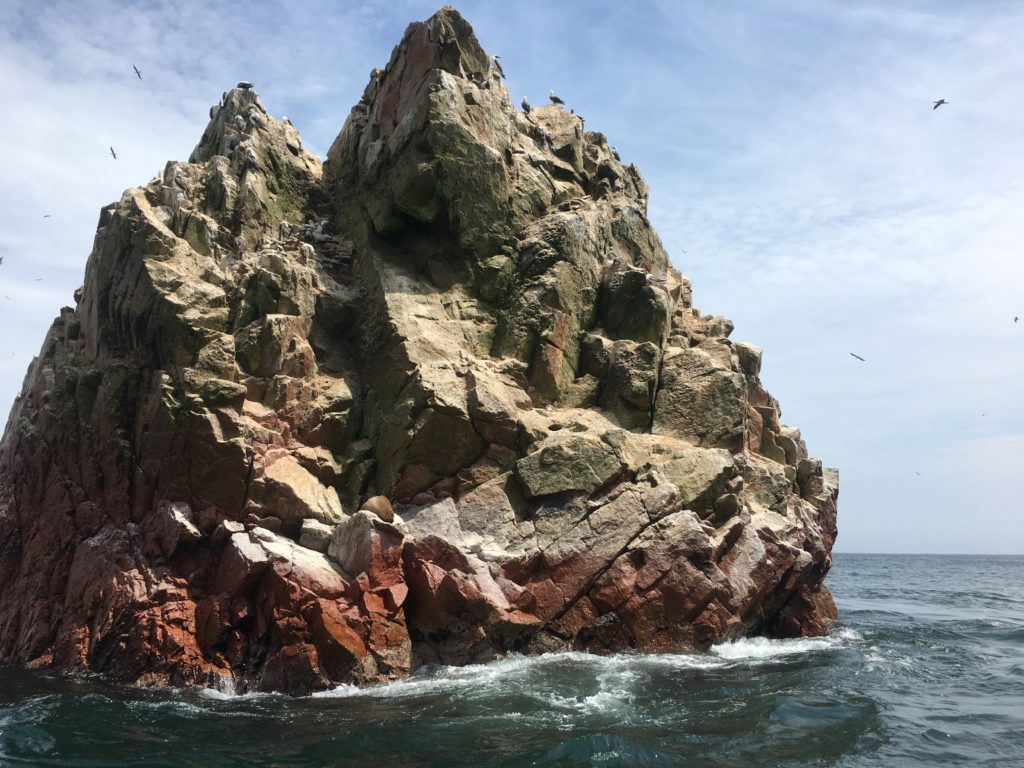 Paracas - Ballestas - Peru