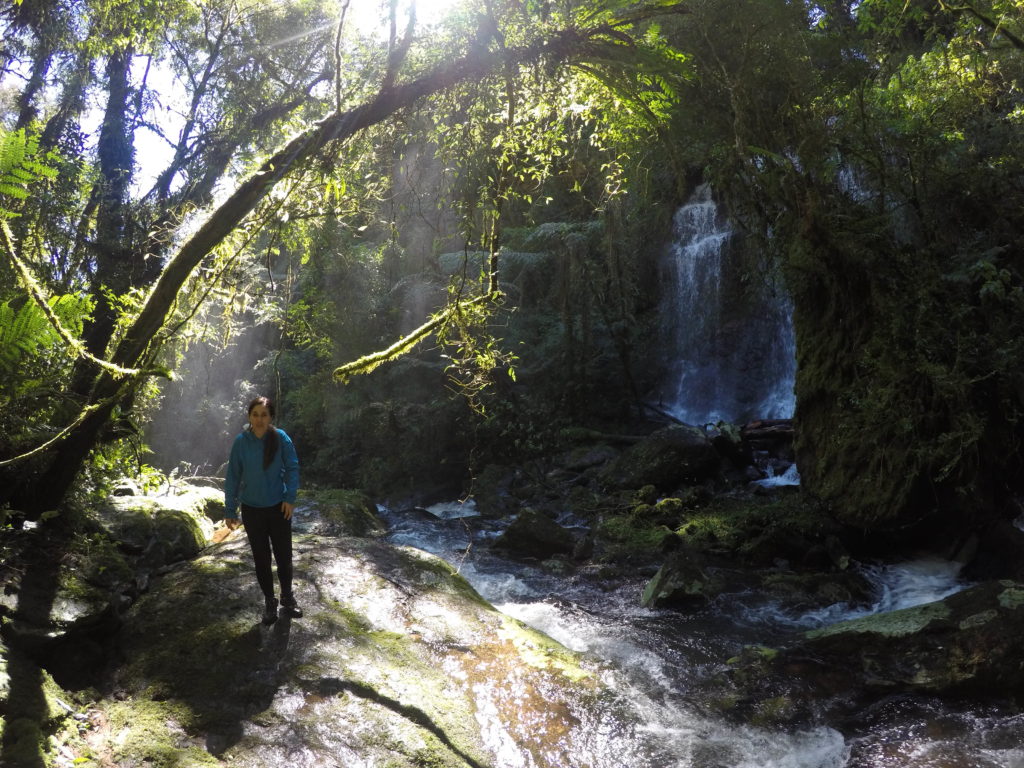 Trilha Cachoeira das Gêmeas Gigantes